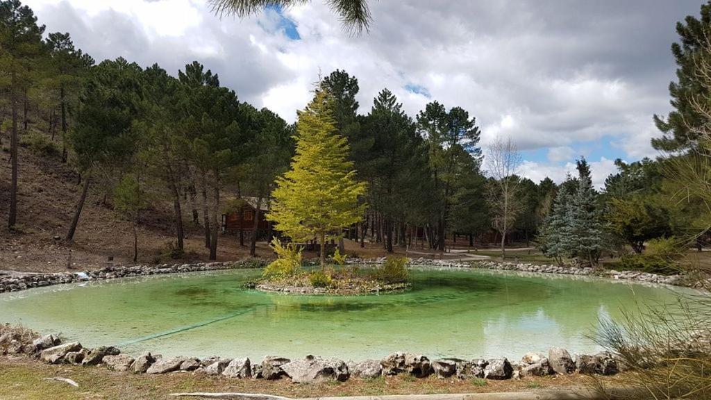Esmeralda 3 D Y 2 Banos Zafiro Lagunazo Parque Natural Rio Mundo * Riópar
